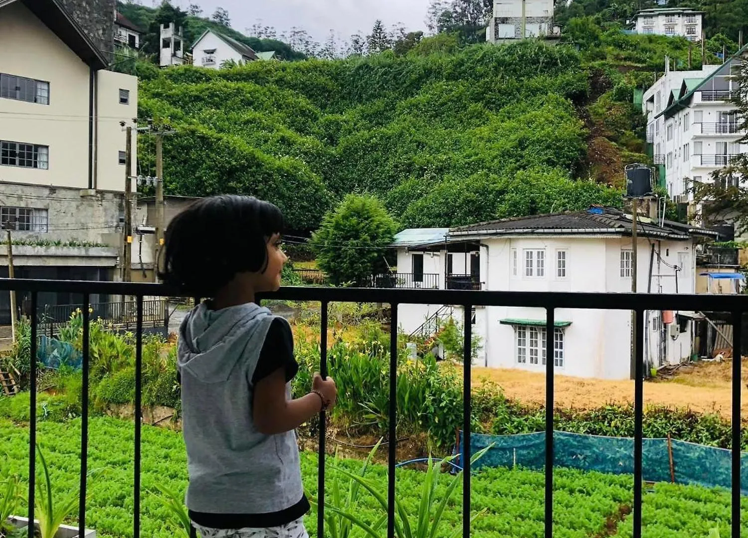 R21 Nuwara Eliya Hotel 0*,  Sri Lanka